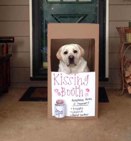 Dog Kissing Booth.jpg